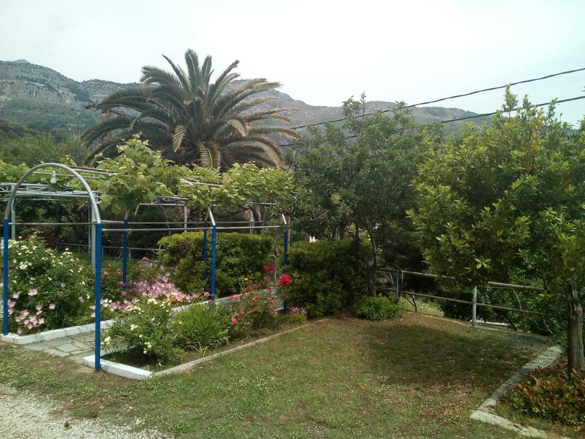 Hotel Kinira Luaran gambar